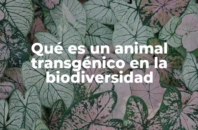 Qué es un Animal Transgénico en la Biodiversidad