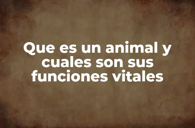 Que es un Animal y Cuales Son Sus Funciones Vitales