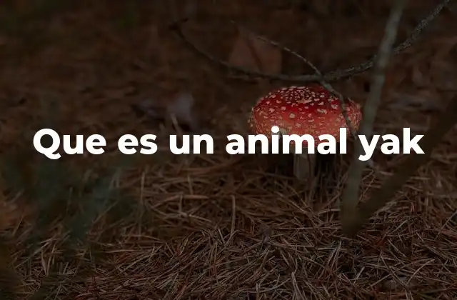 Que es un Animal Yak