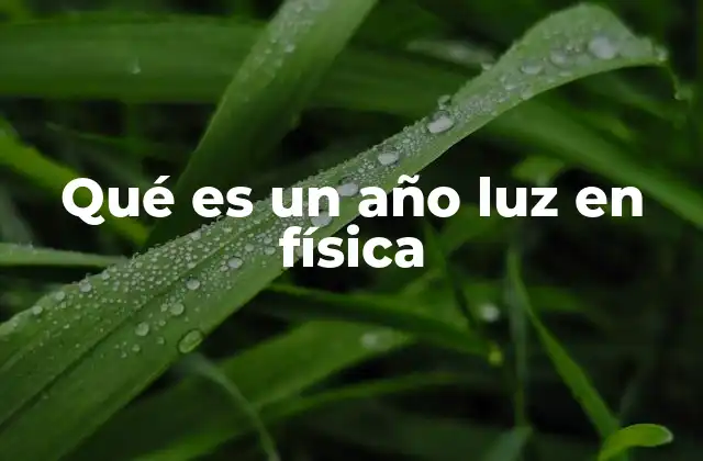 Qué es un Año Luz en Física