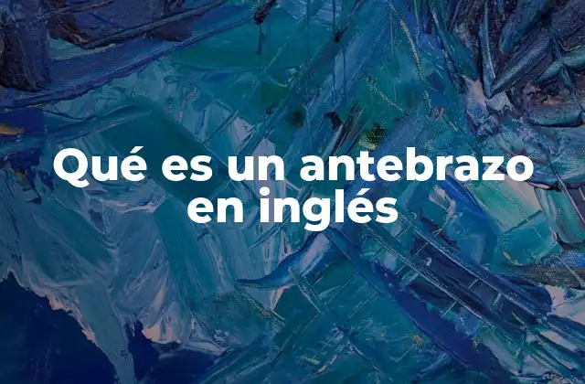 Qué es un Antebrazo en Inglés