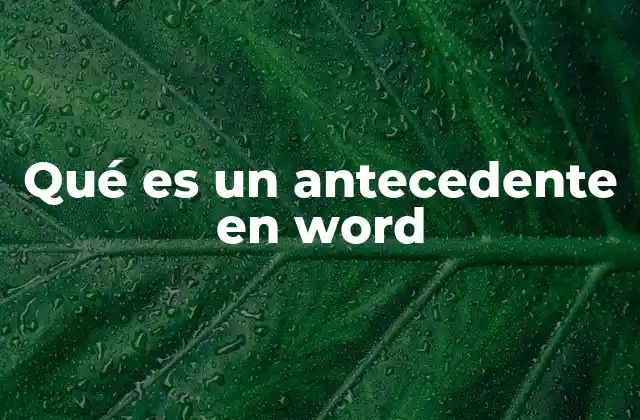Qué es un Antecedente en Word