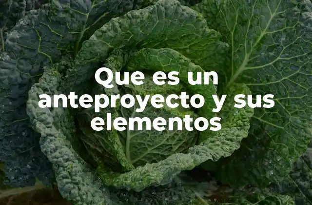 Que es un Anteproyecto y Sus Elementos