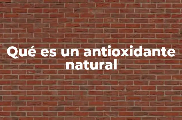La importancia de los antioxidantes en la salud celular