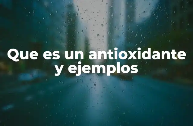 La importancia de los antioxidantes en la salud celular