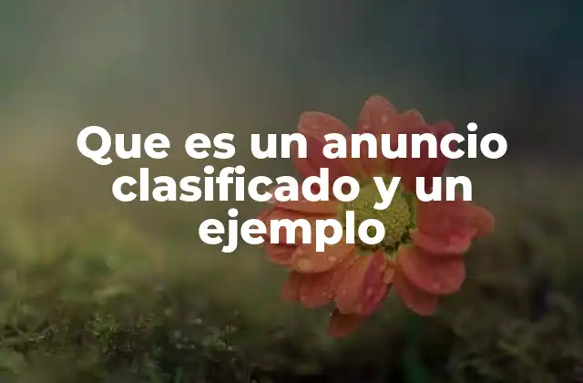 Que es un Anuncio Clasificado y un Ejemplo