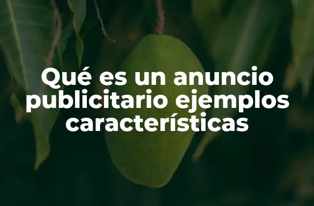 Qué es un Anuncio Publicitario Ejemplos Características
