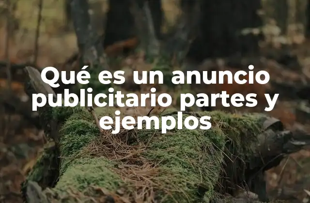 Los componentes clave de un anuncio publicitario