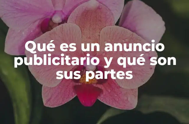 Qué es un Anuncio Publicitario y Qué Son Sus Partes