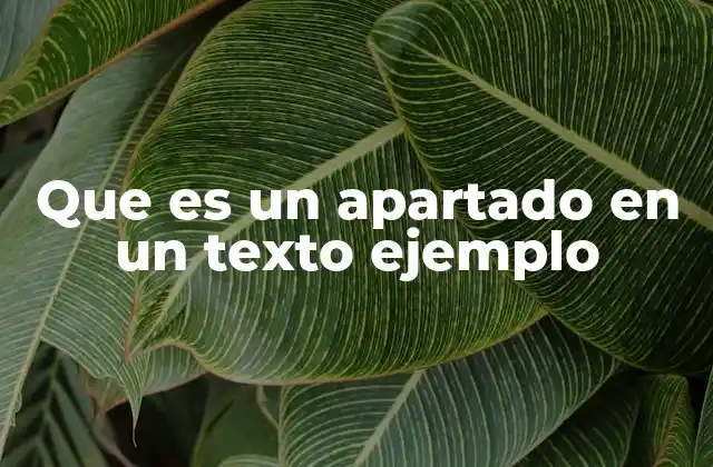 La importancia de estructurar un texto en apartados