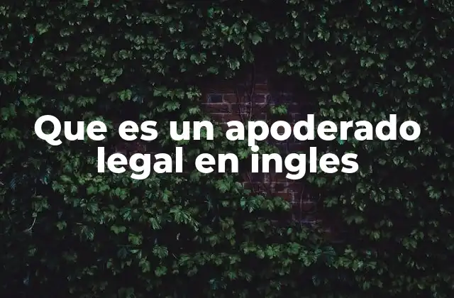 Que es un Apoderado Legal en Ingles
