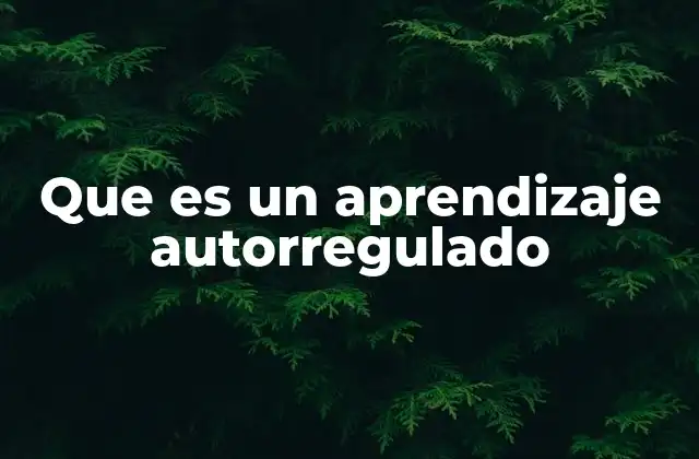 Que es un Aprendizaje Autorregulado