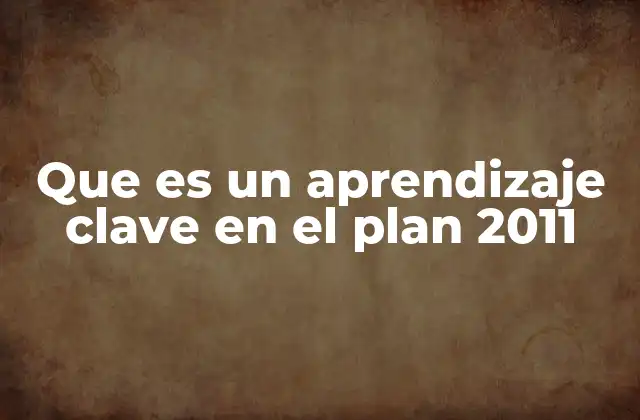 Que es un Aprendizaje Clave en el Plan 2011