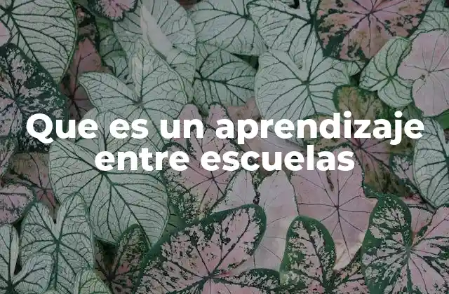 Que es un Aprendizaje entre Escuelas