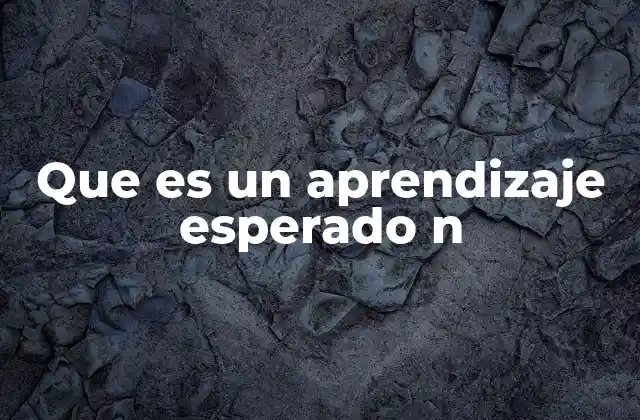 Que es un Aprendizaje Esperado N