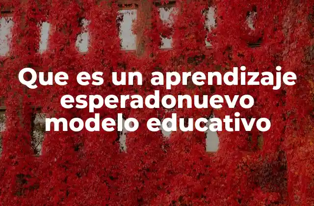 Que es un Aprendizaje Esperadonuevo Modelo Educativo 2 La importancia del enfoque basado en aprendizajes esperados