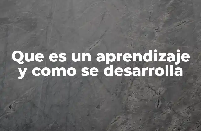 Que es un Aprendizaje y como Se Desarrolla