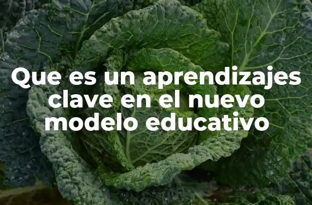 Que es un Aprendizajes Clave en el Nuevo Modelo Educativo