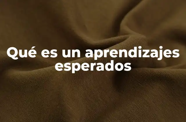 Qué es un Aprendizajes Esperados
