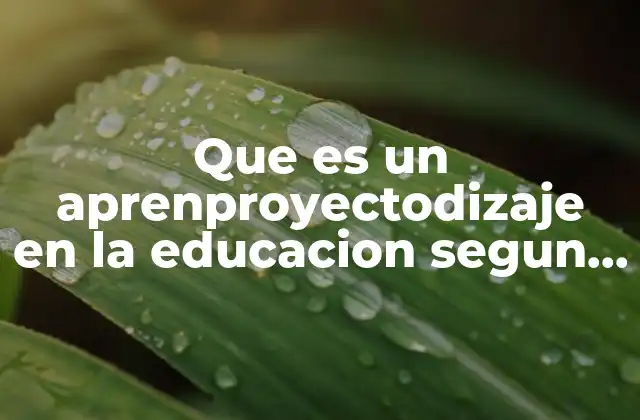 Que es un Aprenproyectodizaje en la Educacion Segun Piaget