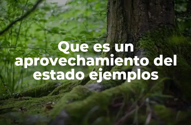 Que es un Aprovechamiento Del Estado Ejemplos