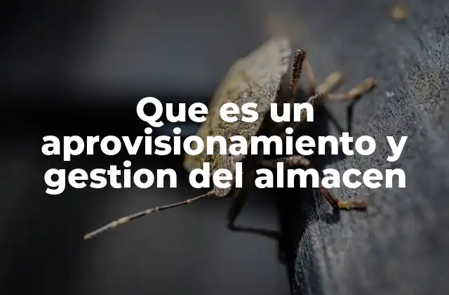 Que es un Aprovisionamiento y Gestion Del Almacen