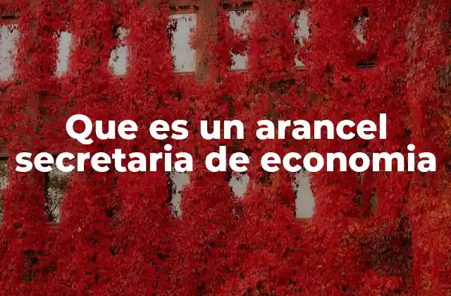 Que es un Arancel Secretaria de Economia