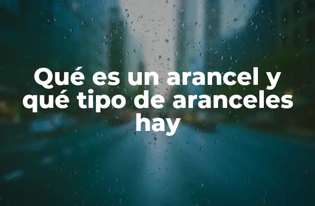 Qué es un Arancel y Qué Tipo de Aranceles Hay