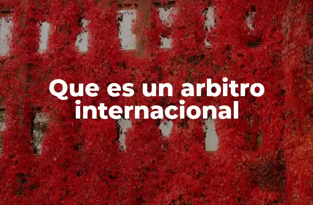 Que es un Arbitro Internacional 17 El papel del árbitro en el ámbito internacional