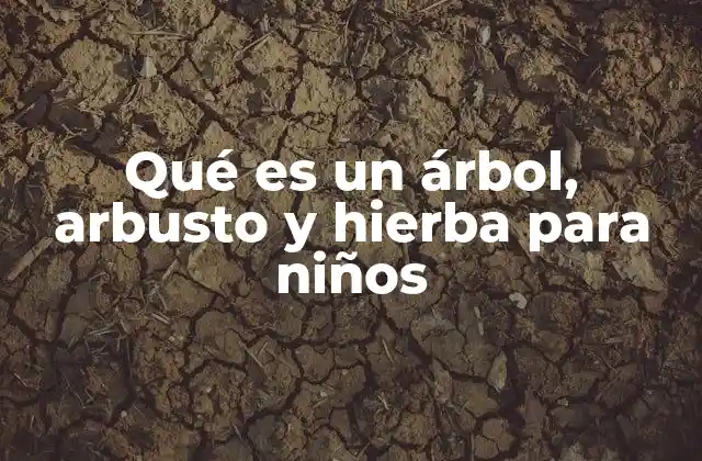 Qué es un Árbol, Arbusto y Hierba para Niños