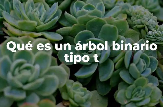 Qué es un Árbol Binario Tipo T