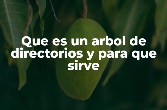 Que es un Arbol de Directorios y para que Sirve