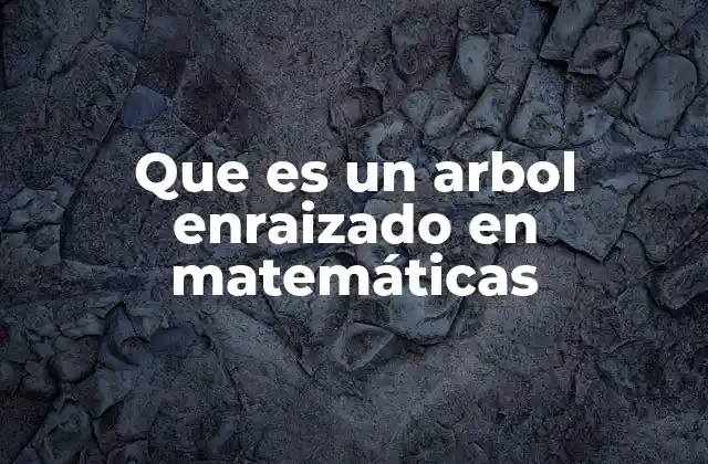 Que es un Arbol Enraizado en Matemáticas