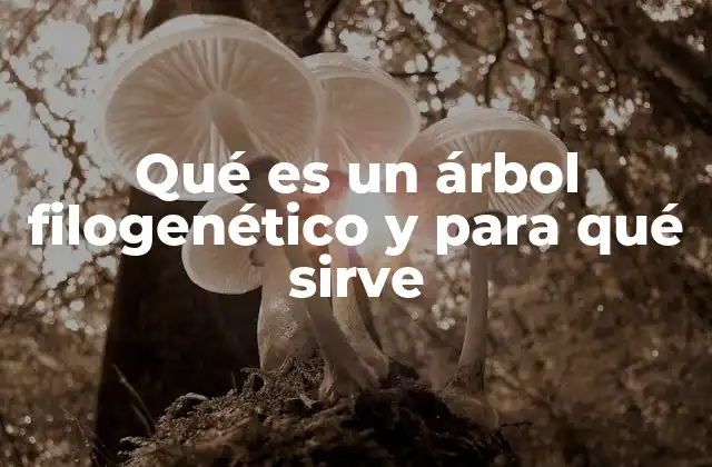 Qué es un Árbol Filogenético y para Qué Sirve 2 La importancia de los árboles filogenéticos en la biología