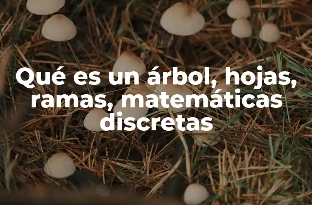 Qué es un Árbol, Hojas, Ramas, Matemáticas Discretas