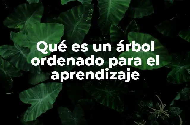 Qué es un Árbol Ordenado para el Aprendizaje