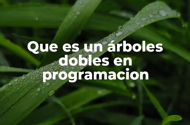 Que es un Árboles Dobles en Programacion