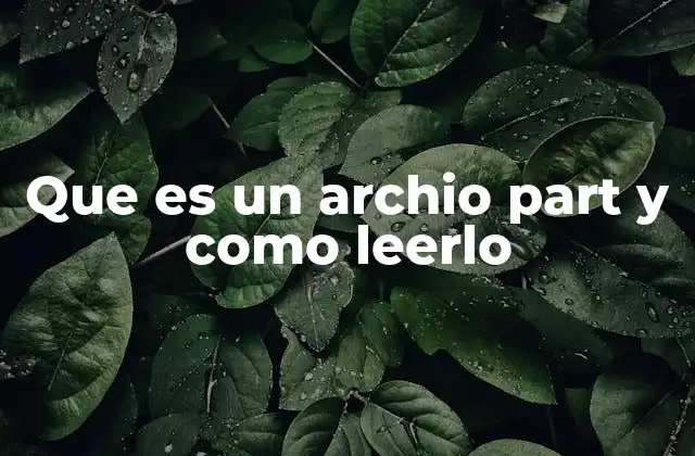 Que es un Archio Part y como Leerlo