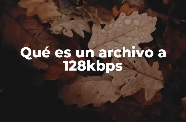 Qué es un Archivo a 128kbps