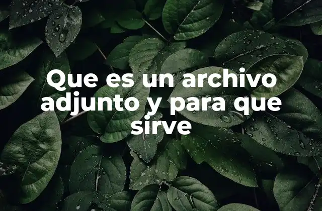Que es un Archivo Adjunto y para que Sirve