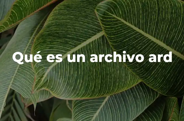 Qué es un Archivo Ard