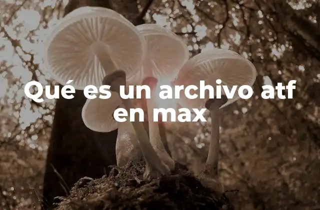Qué es un Archivo Atf en Max