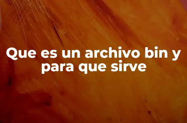 Que es un Archivo Bin y para que Sirve