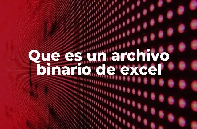 Que es un Archivo Binario de Excel