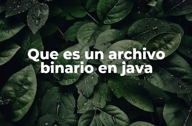 Que es un Archivo Binario en Java