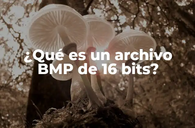 ¿qué es un Archivo Bmp de 16 Bits? 2 Historia y evolución de los archivos BMP
