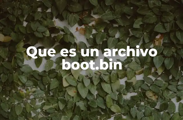 Que es un Archivo Boot.bin