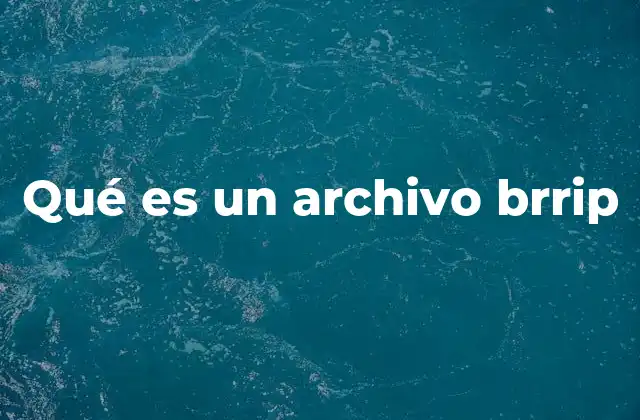 Qué es un Archivo Brrip