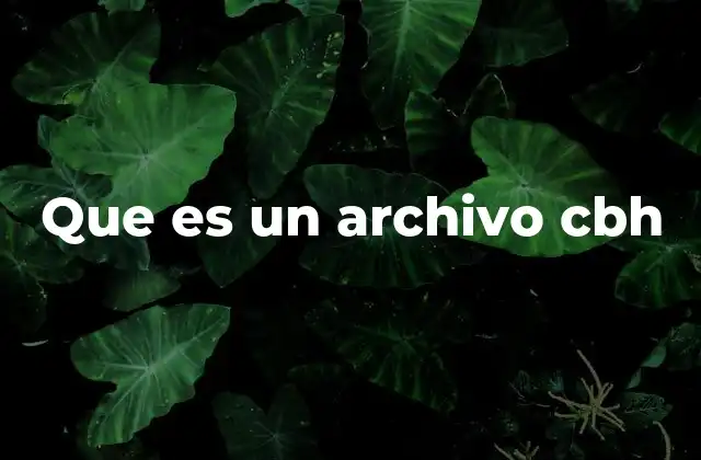 Que es un Archivo Cbh
