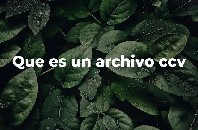 Que es un Archivo Ccv